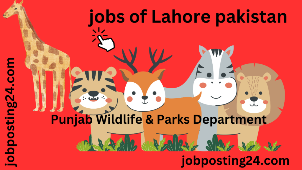 jobs of Lahore pakistan